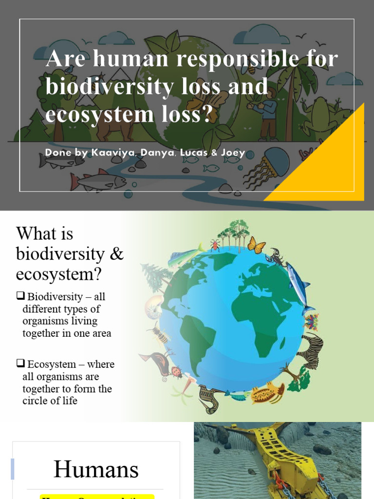 Human Impact on Biodiversity Loss | PDF | Deforestation | Habitat
