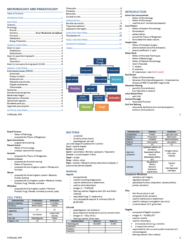 Bacteria Download Free Pdf Streptococcus Bacteria