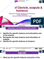 Practical 1 Clavicle Scapul Humerus
