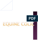 Equine Colic Lecture 1