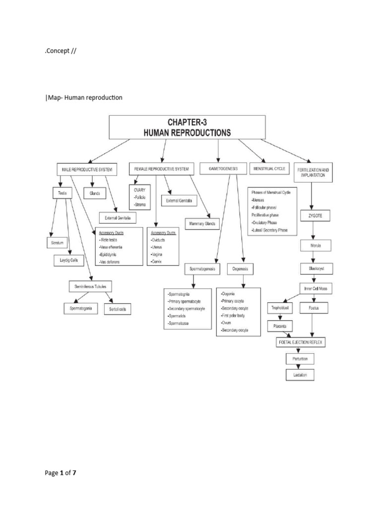 Concept Map- Human reproduction | PDF