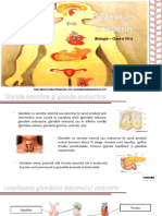 731.-sistemul-endocrin