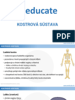 03 Kostrova Sustava