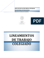 Lineamientos-De-Trabajo-Colegiado