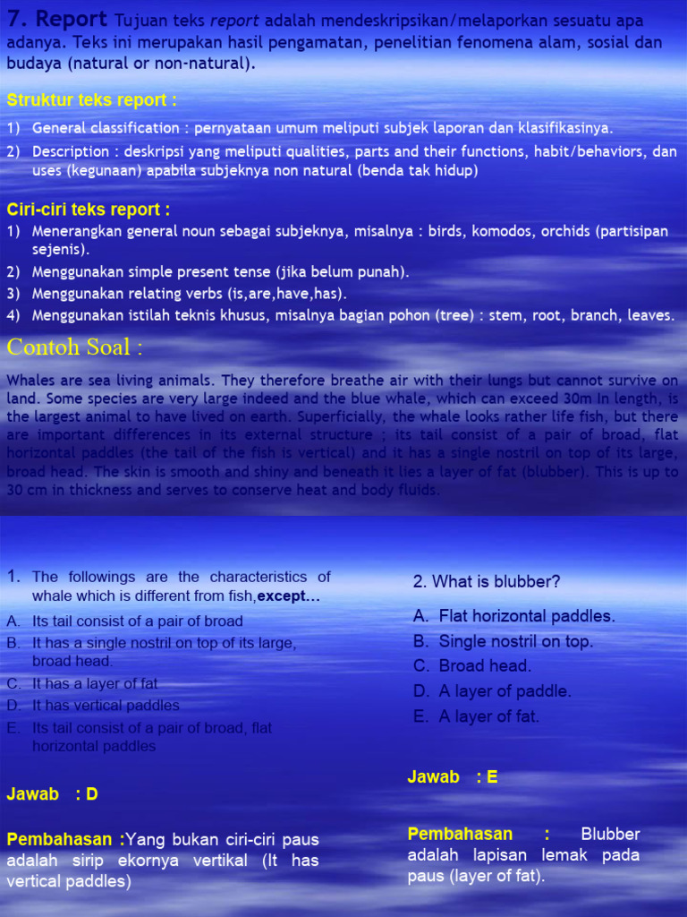 Report text pdf