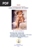 EL ALMA GEMELA