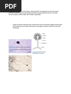 Yalangoch qiz jinsiy balet