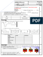 Cc1 S2 1ér Année