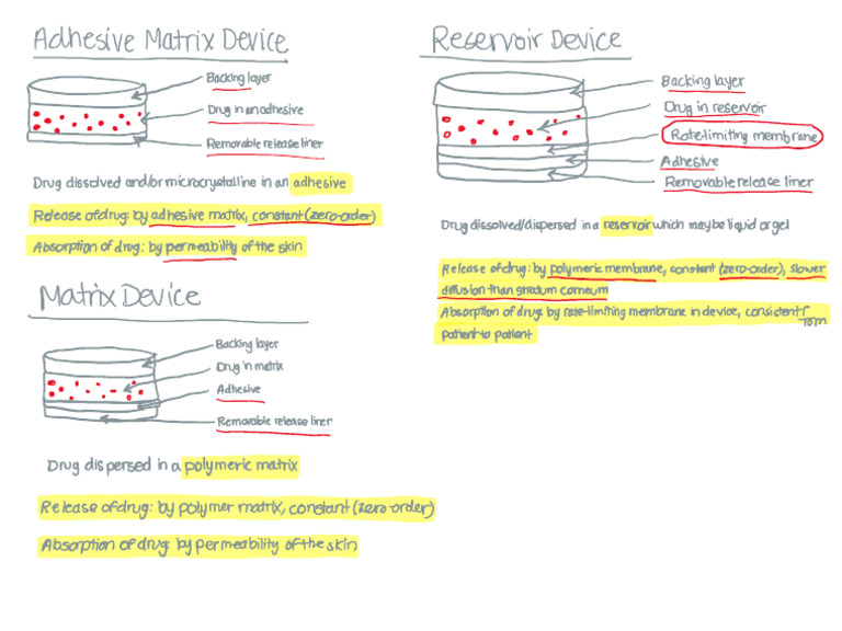 Visual Concepts - TDDS | PDF