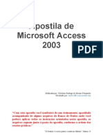 Apostila Completa de Access 2007