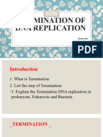 Termination of Dna Replication: Upama Das BSC 4 Sem Roll No - 212