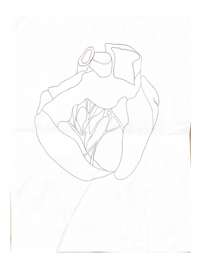 heart-write-up-as-aqa-alevel-pdf