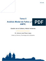Tema 5. Análisis Modal de Fallos y Efectos AMFE-1