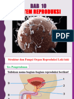 Sistem Reproduksi - 1