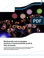 Biodiversity and Ecosystem Services in Environmental Profit & Loss Accounts