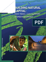 Building Natural Capital - How REDD+ Can Support A Green Economy