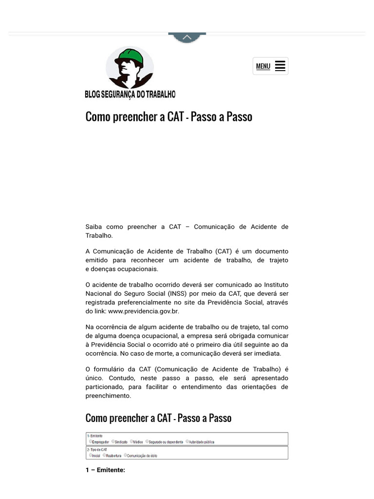 Como Preencher A Cat Passo A Passo Pdf