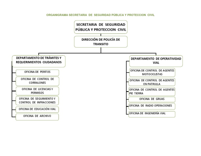 Organigrama de Seguridad Pública y Protección Civil | PDF | Negocios