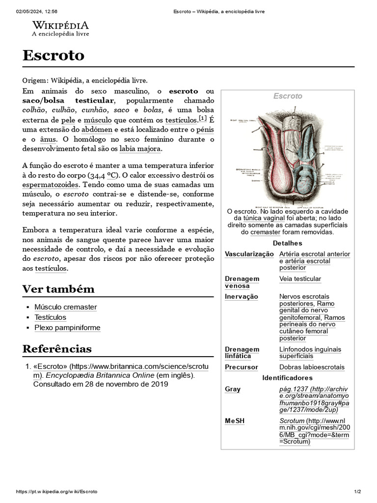 Estrutura e Função do Escroto | PDF | Anatomia | Testículo