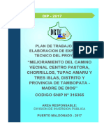 PLAN DE TRABAJO CHORRILLOS