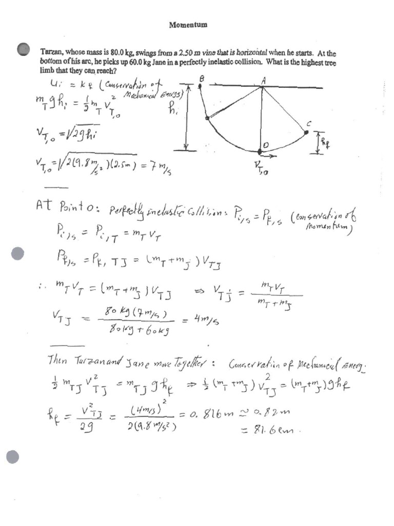 Momentum Solution 1B03 | PDF