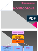 Organigrama CP Montecorona