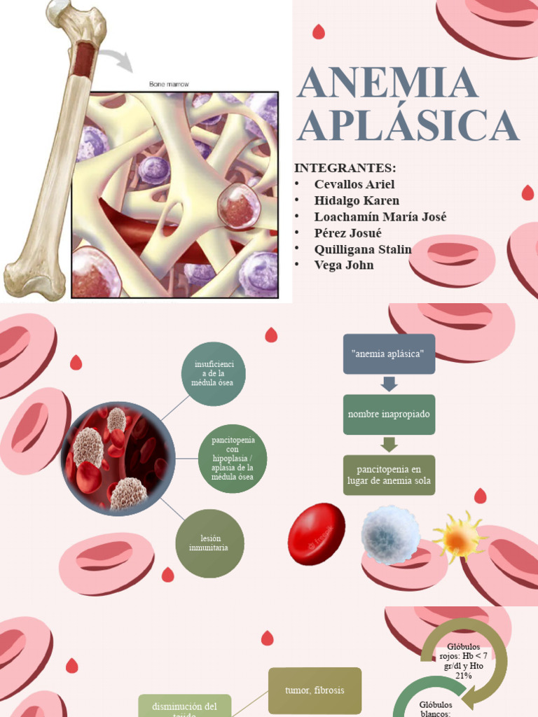 Anemia Aplásica: Causas y Síntomas | PDF | Anemia | Sistema inmune