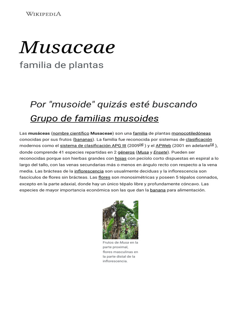 Musáceas: Características y Cultivo | PDF | Plantas | Botánica