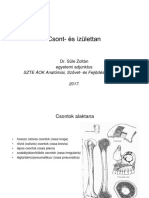 SZTE ÁOK Anatómiai, Szövet-És Fejl Déstani Intézet 2017.: Dr. Süle Zoltán Egyetemi Adjunktus