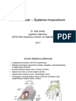 SZTE ÁOK Anatómiai, Szövet-És Fejl Déstani Intézet 2017: Dr. Süle Zoltán Egyetemi Adjunktus