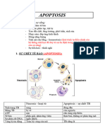 APOPTOSIS