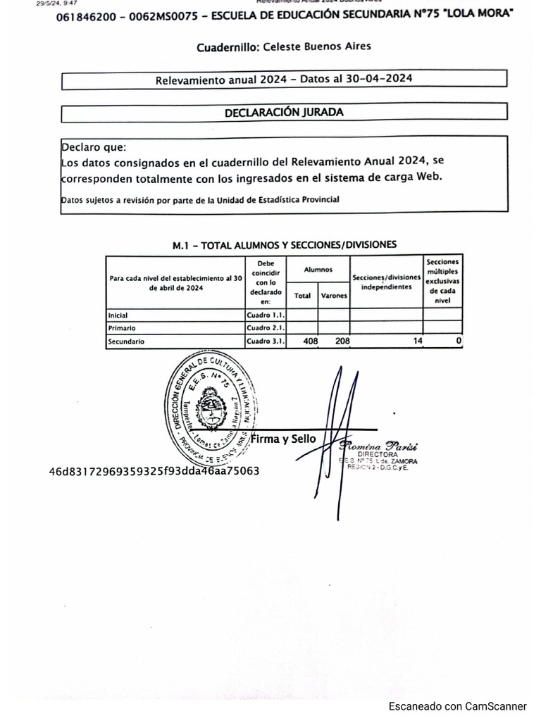 Ees 75 Relevamiento Anual 2024 PDF