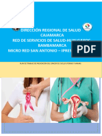 Plan de Trabajo de Prevención Del Cáncer de Cuello Uterino y Mamas (4) - Ahijadero
