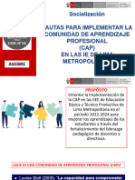 pautas_cap_202