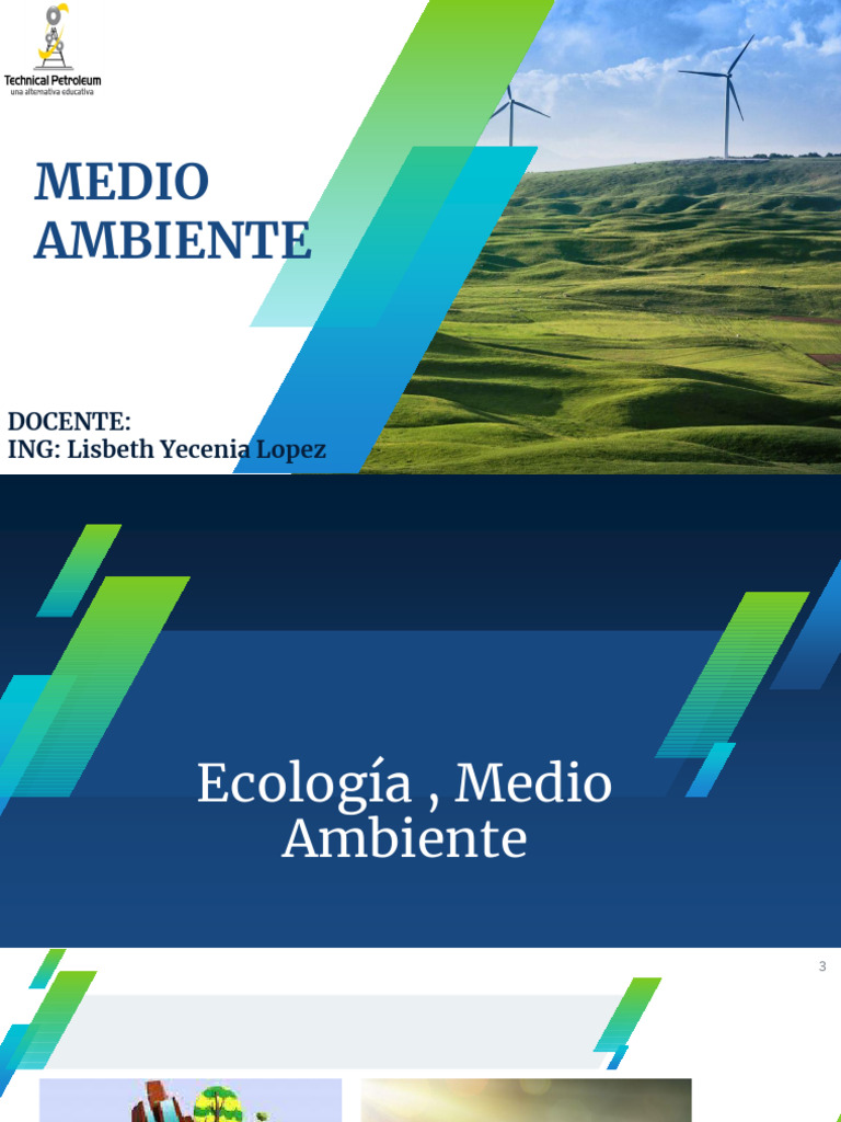 Ecología y Medio Ambiente: Conceptos Clave | PDF | Entorno natural ...