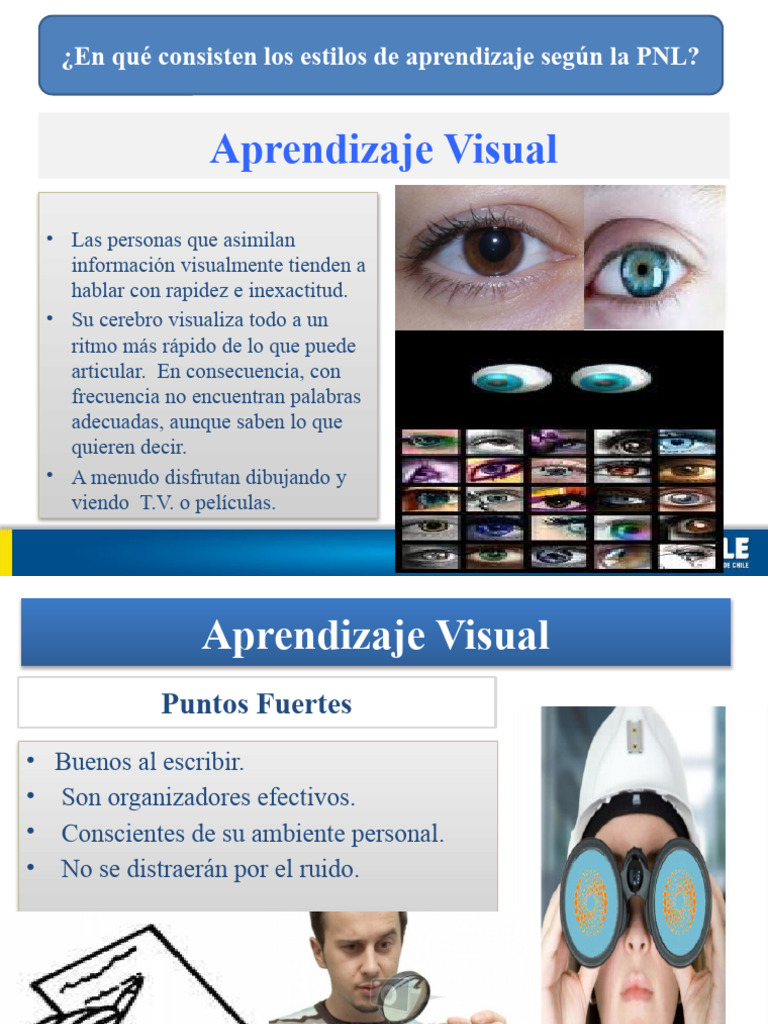Clase 7 Estilos de Aprendizaje | PDF | Aprendizaje | Habilidades de estudio