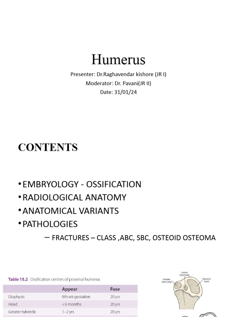 Humerus: Embryology and Pathologies | PDF | Bone | Musculoskeletal System