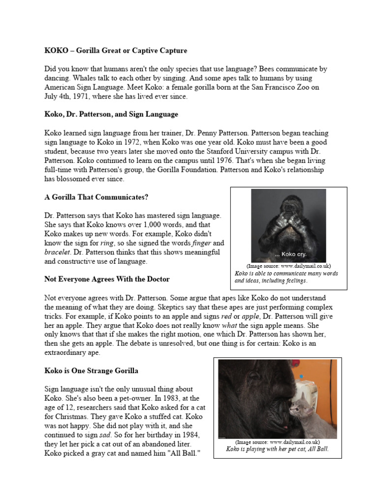 Koko: Language or Learned Tricks? | PDF | Social Science