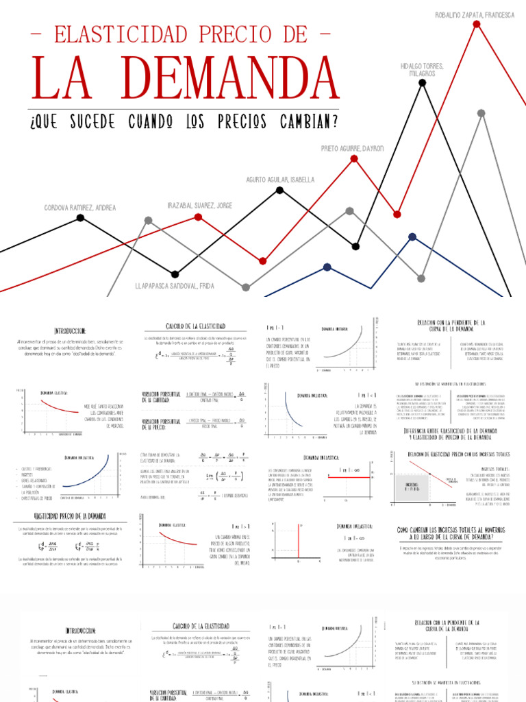 Elasticidad Precio de la Demanda Explicada | PDF | Elasticidad ...