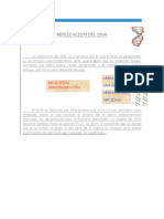 Replicacion Del Dna