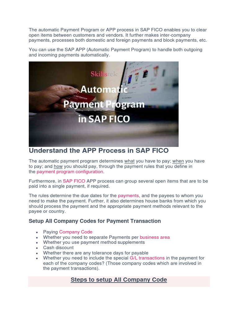 the-automatic-payment-program-or-app-process-in-sap-fico-enables-you-to