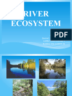 G6 River Ecosystem