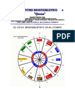 Ciclos Bioenergeticos Del Cuerpo