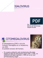 CITOMEGALOVIRUS