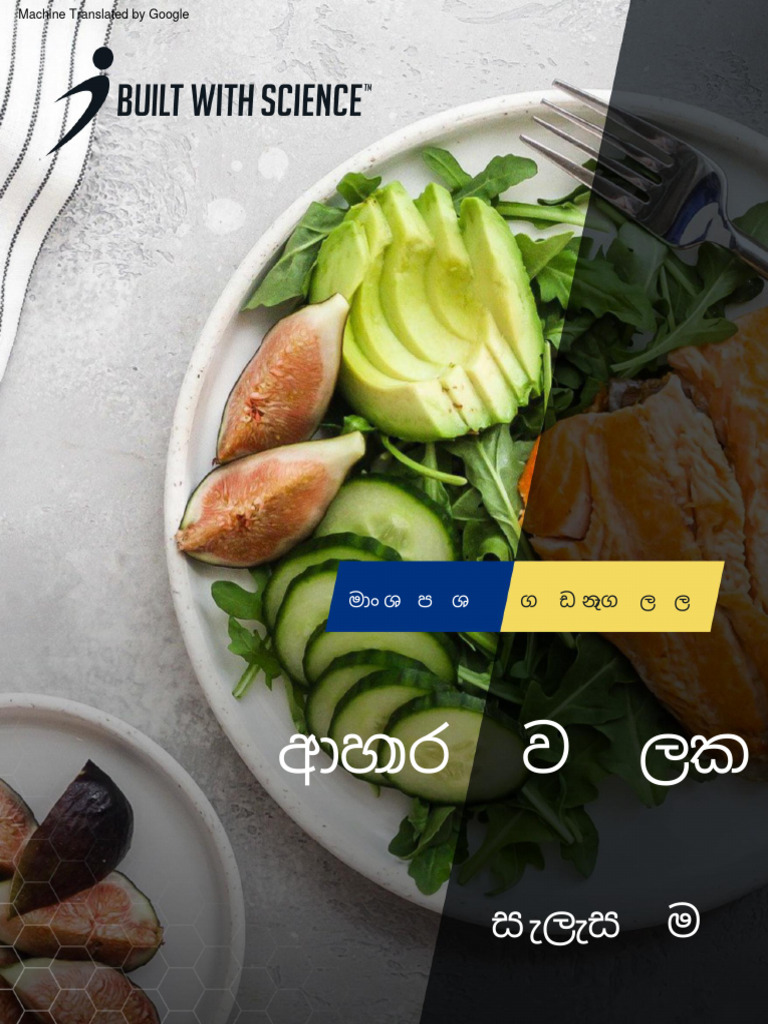 Muscle Building Meal Plan Pdf