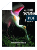 Waterbird Conservation for the Americas