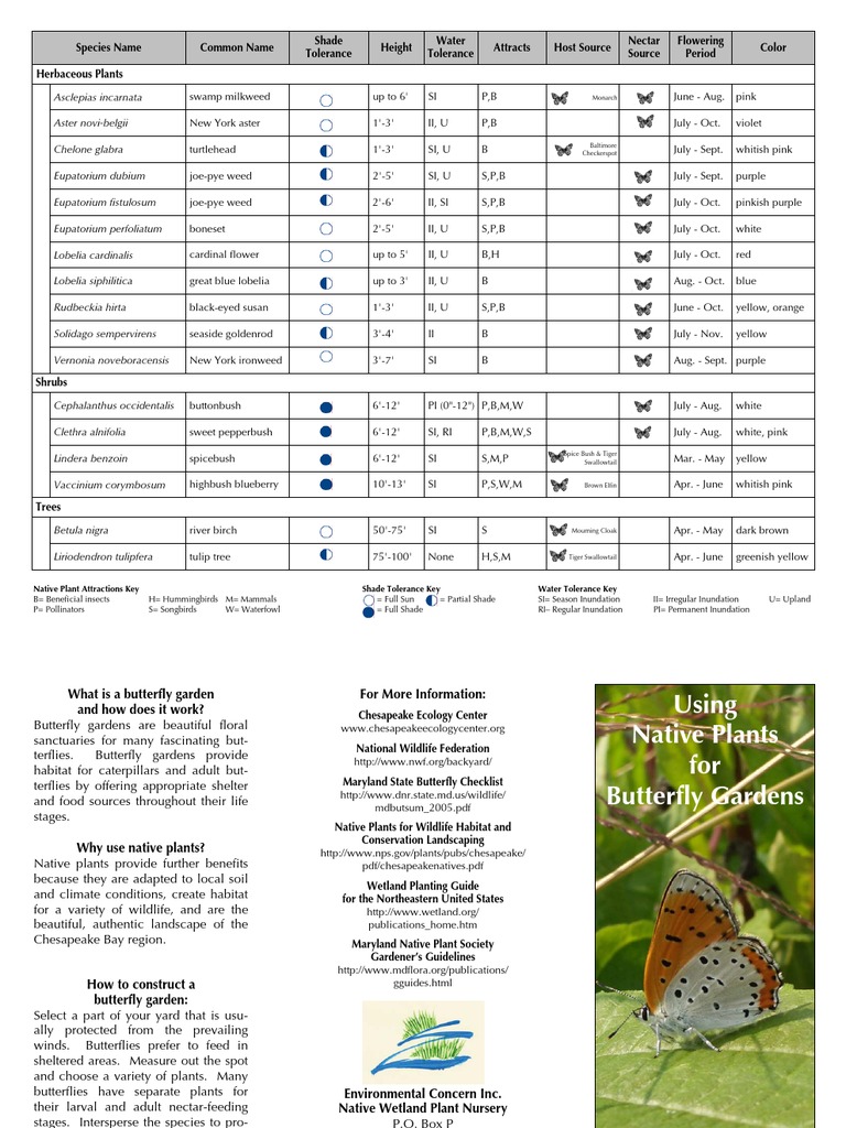 Maryland; Using Native Plants for Butterfly Gardens Butterfly Gardens
