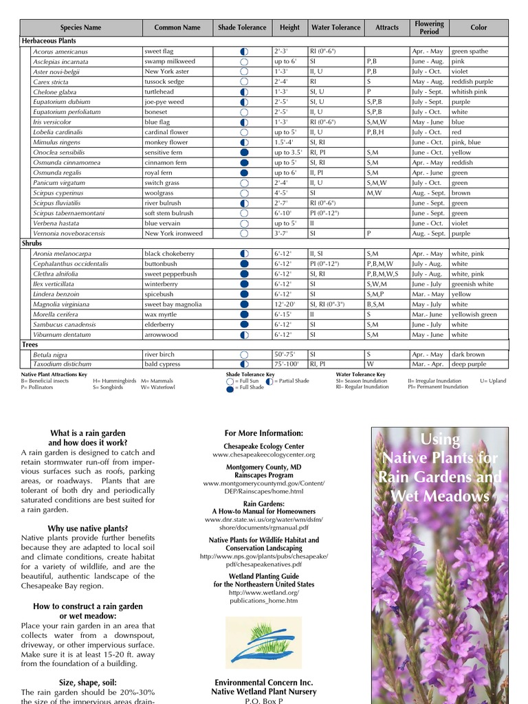 Maryland; Using Native Plants for Rain Gardens and Wet Meadows Land Management Ecology