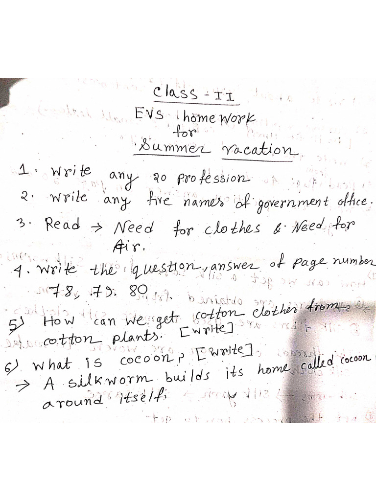 evs-summer-vacation-home-work-class-2-pdf