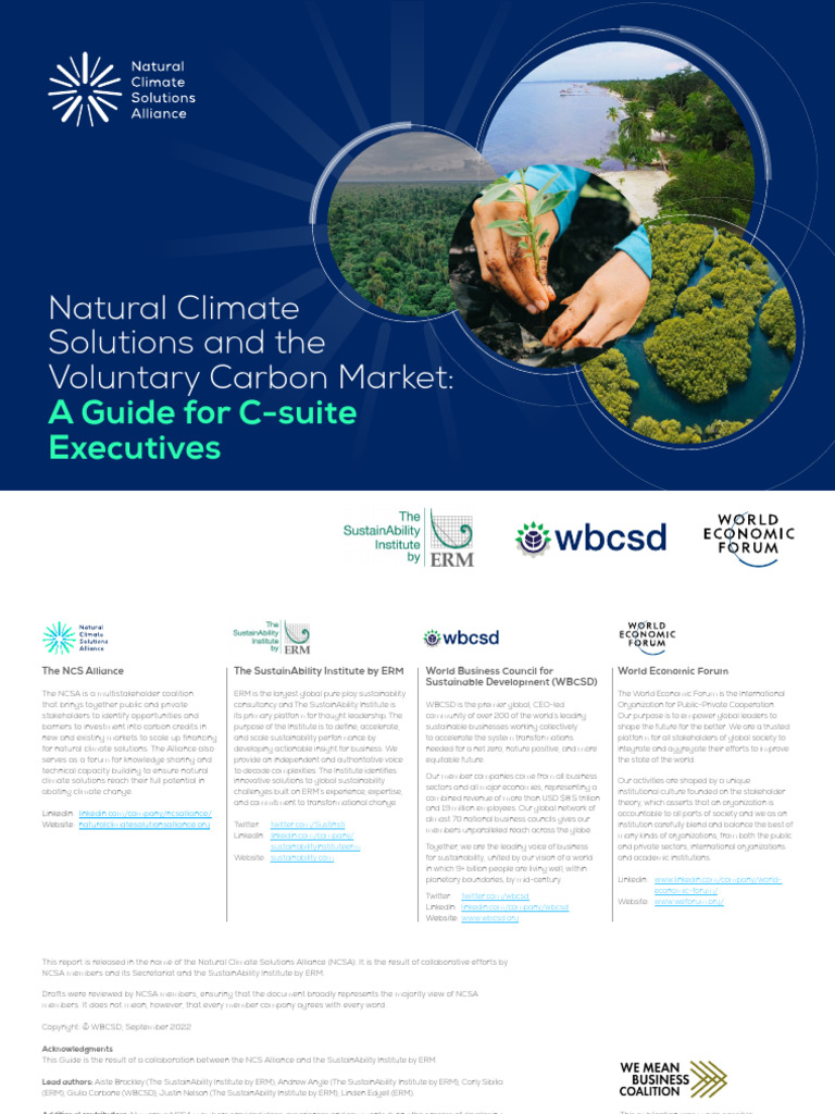 Natural Climate Solutions and The Voluntary Carbon Market - A Guide For ...